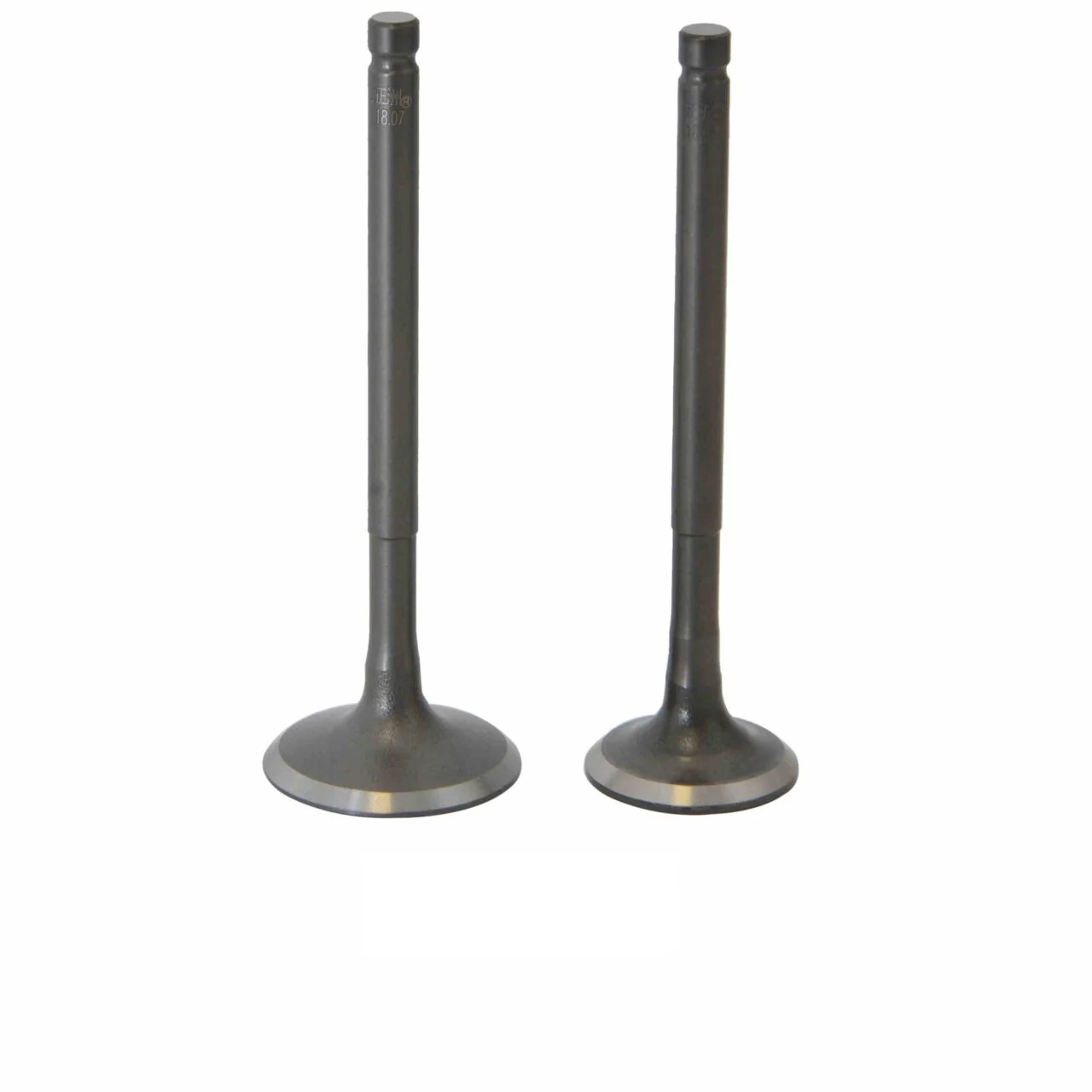 SUBAP TAKIMI [TIRNAKLI] [VTC] SPACY- ALPHA - RKS SPONTINI 110